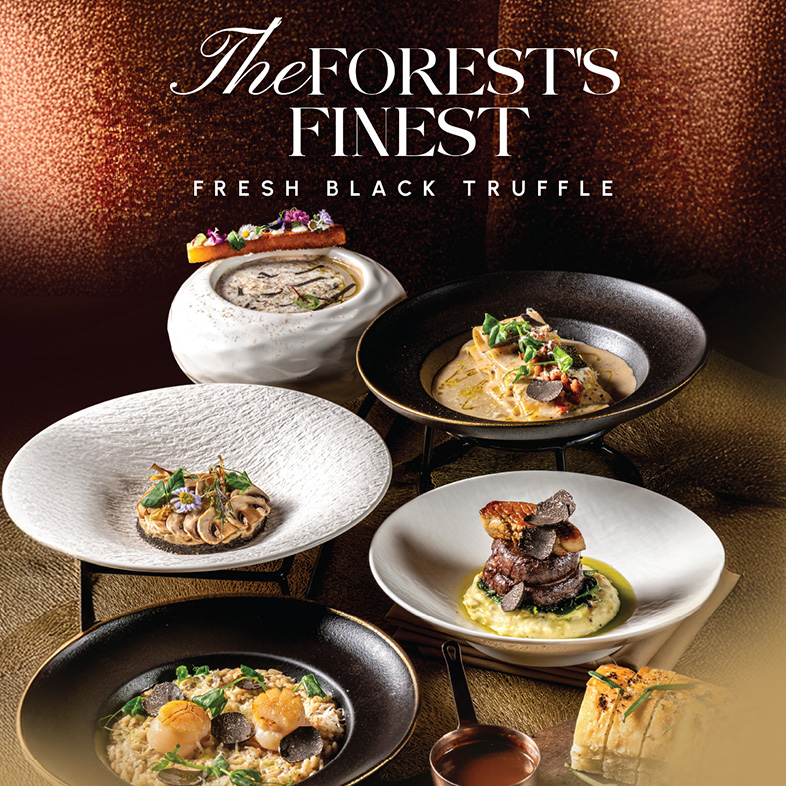 The Forest Finest : Fresh Black Truffle