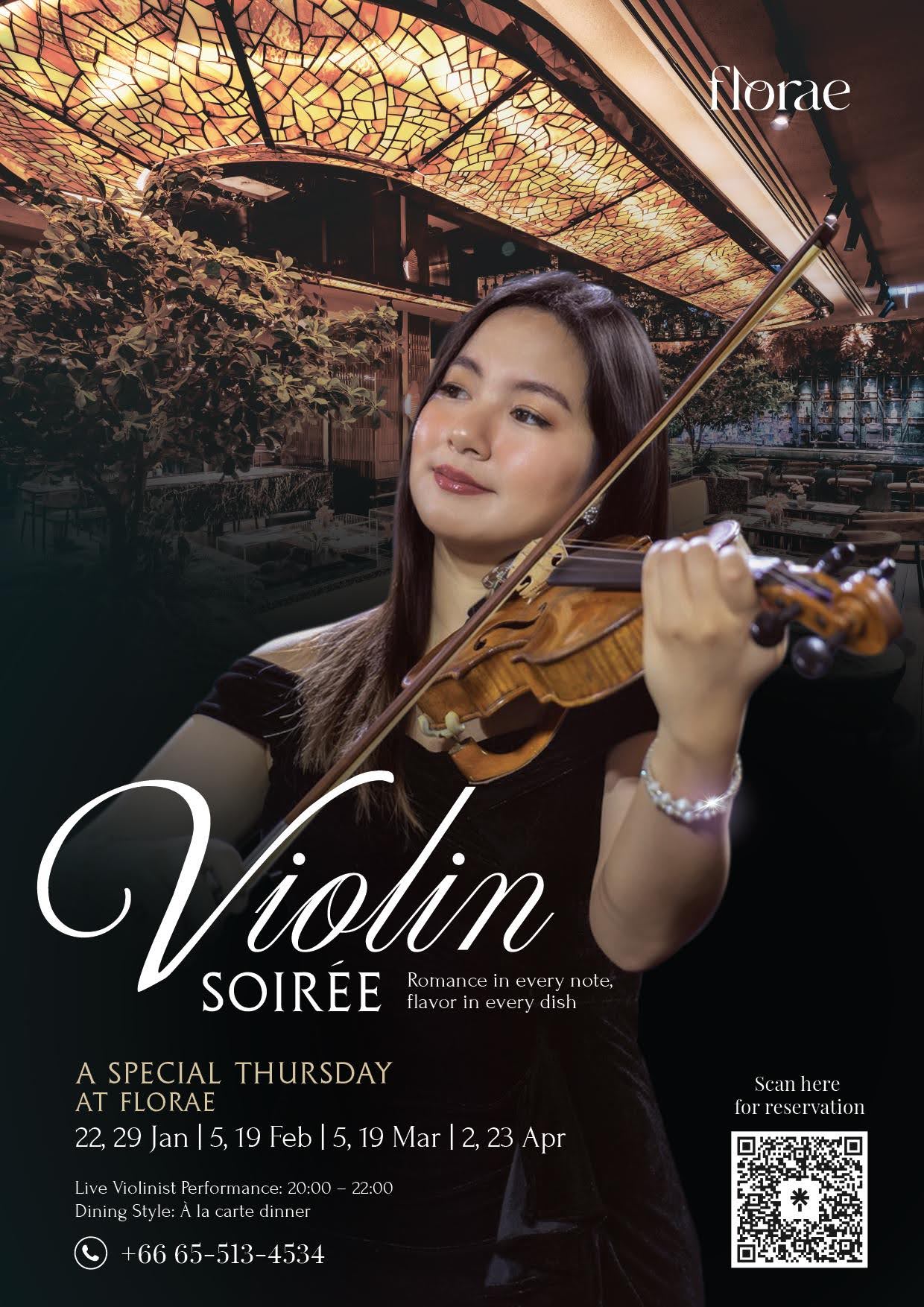 Violin Soirée