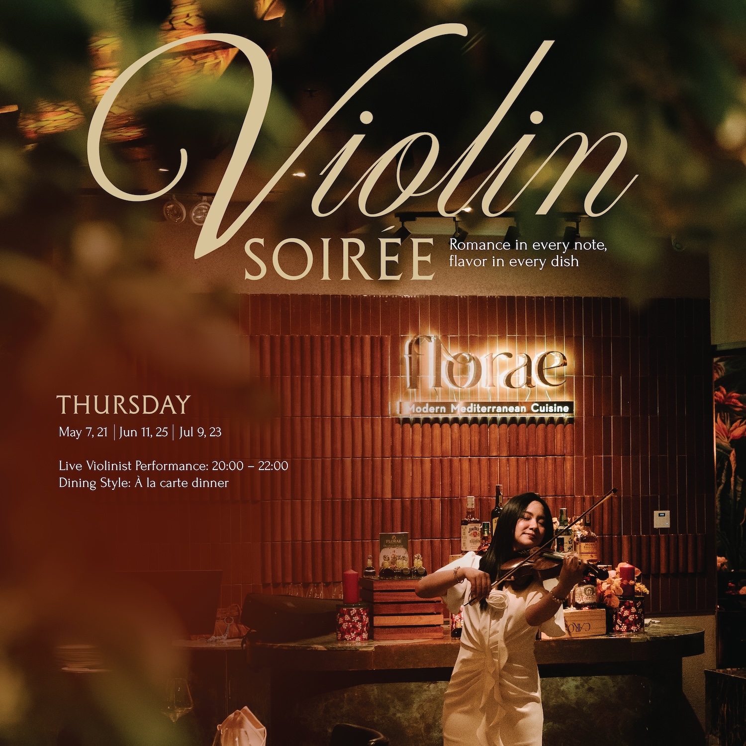 Violin Soirée